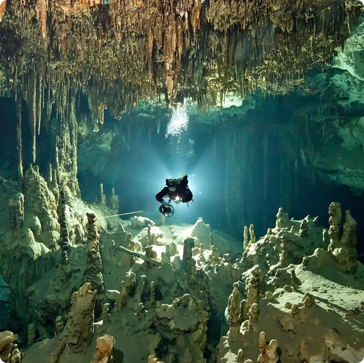 Immerse Tulum